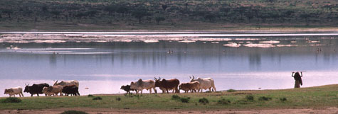 Marala Region, Kenya © Urs Wiesmann.jpg